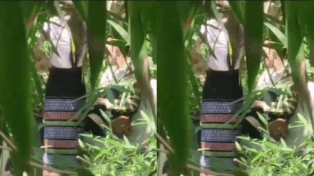 ဝါးရုံတောမှာ ချိန်းပြီး အပီကြမ်းတဲ့စုံတွဲ