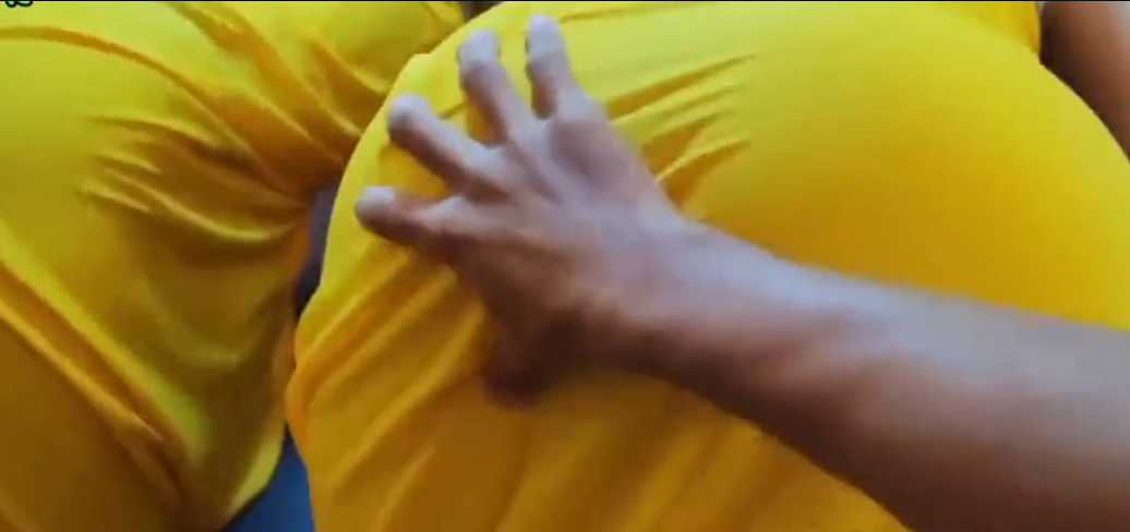 အလိုး ခုံပေါ် ရှယ်တွယ်သော စပွန်ဆာဘဲကြီး