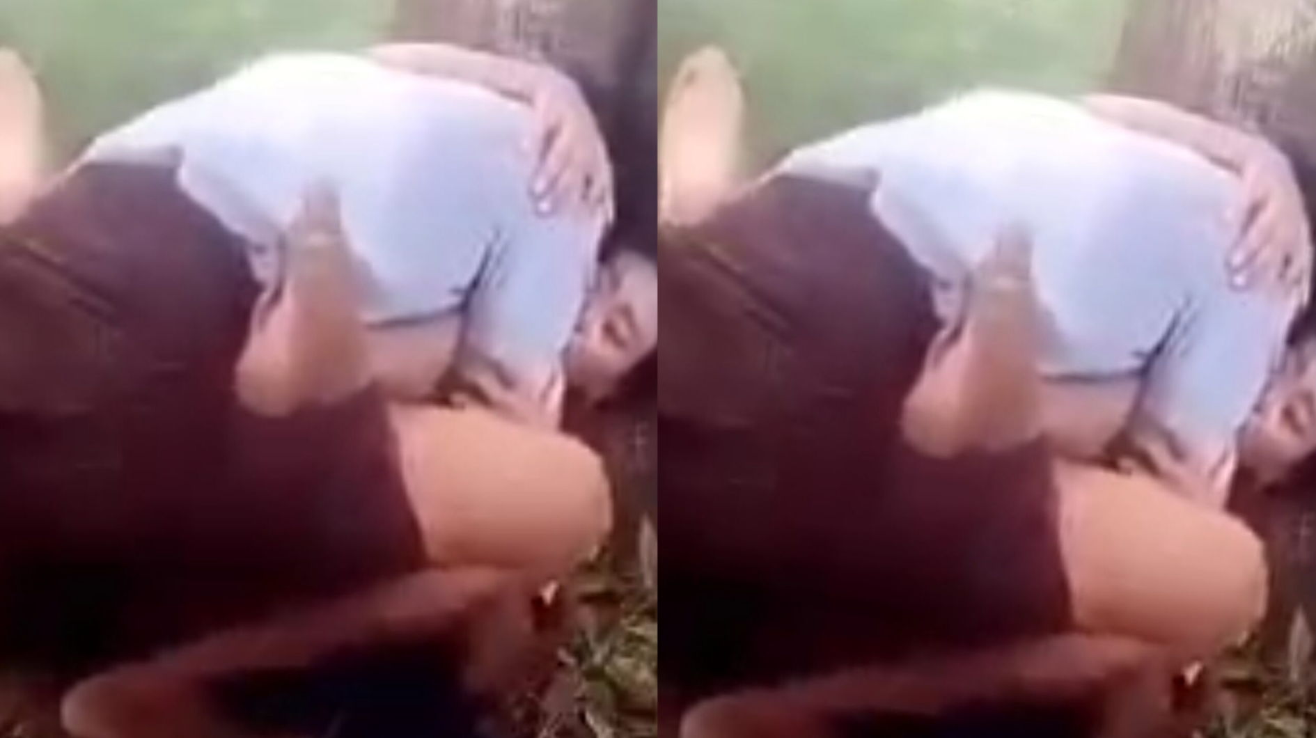 အပင်အောက်လိုးရင်း မြေကြီးထဲဝင်သွားလို့တဲ့